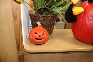 IMG_7245.JPG