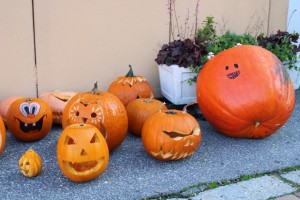 IMG_9108.JPG