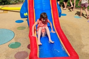 IMG_20230707_150701.jpg