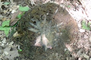 DSCF4316.JPG