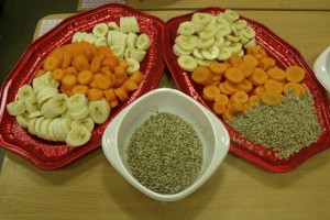 DSCF8679.JPG