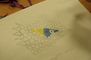 DSCF8737.JPG