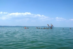 DSCF9278.JPG