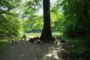 DSCN2566.JPG