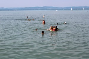 IMG_0036.JPG