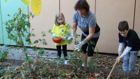 Én kis kertet kerteltem...