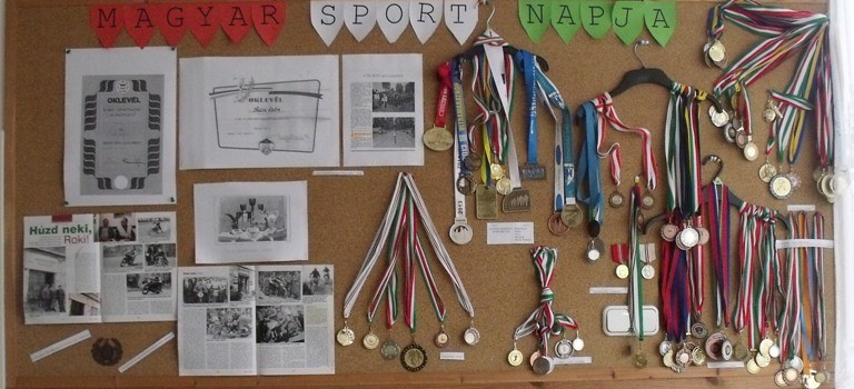 Magyar Sport Napja