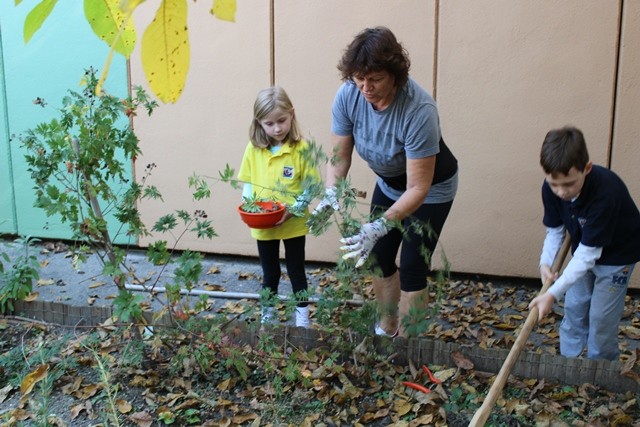 Én kis kertet kerteltem...